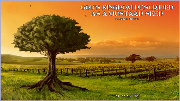 God S Kingdom Described As A Mustard Seed Dr Jan Sattem
